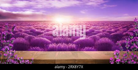 Ponte in legno tra un fiorente campo di lavanda al tramonto. Design banner con spazio per il testo Foto Stock
