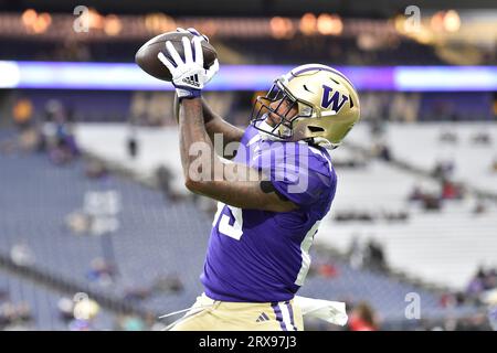 Seattle, Washington, USA. 23 settembre 2023. Il tight end dei Washington Huskies Devin Culp (83) riceve un passaggio durante il riscaldamento prima della partita di football NCAA tra i Cal Bears e i Washington Huskies all'Husky Stadium di Seattle, WA. Steve Faber/CSM/Alamy Live News Credit: Cal Sport Media/Alamy Live News Foto Stock