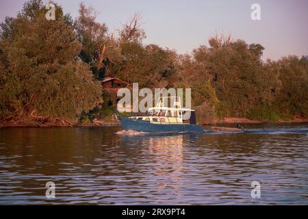Una barca a motore che naviga lungo il Danubio Foto Stock