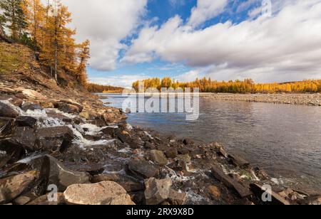 Paesaggio autunnale sul fiume Chulman nella Yakutia meridionale, Russia. Foto Stock