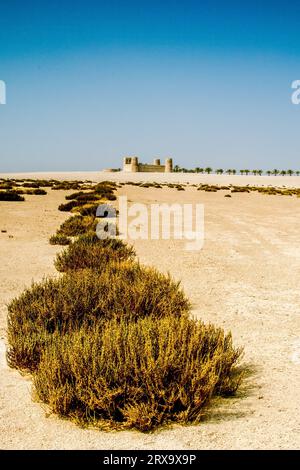 Vista del deserto sull'isola di al Futaisi Foto Stock