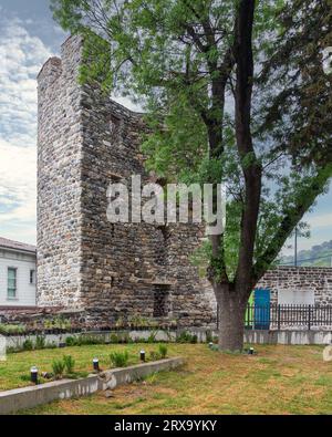 Anadolu Hisari, o Castello anatolico, una fortezza medievale ottomana del XIII secolo costruita dal sultano Bayezid i, situata sul lato anatolico del Bosforo nel distretto di Beykoz, Istanbul, Turchia Foto Stock