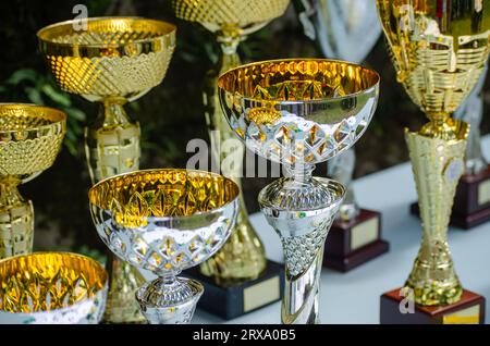 dettagli dei vari trofei di un concorso Foto Stock