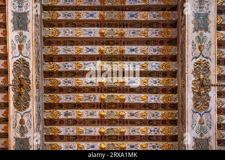 Dettaglio del soffitto dipinto di un edificio medievale Foto Stock