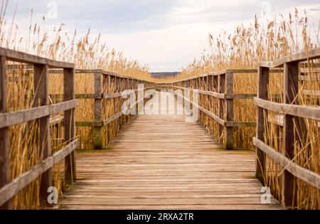 Federseesteg a Oberschwaben Foto Stock