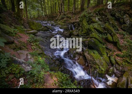 Cascata di Szepit, torrente Hylaty, Monti Bieszczady, Parco Nazionale Bieszczadzki, la regione più selvaggia della Polonia, montagne polacche e paesaggi Foto Stock
