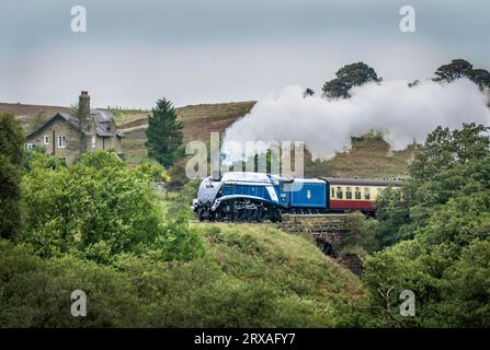 Durante il gala a vapore del 50° anniversario della North Yorkshire Moors Railway al XXXXX. Data foto: Domenica 24 settembre 2023. Foto Stock