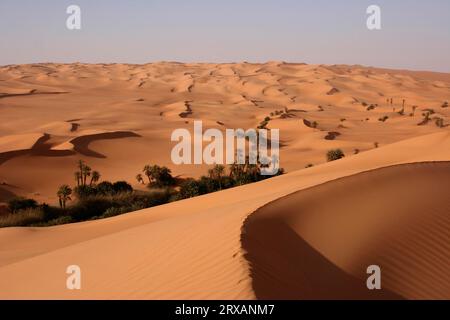 Ai piedi del lago um el Maa le palme sono alimentate con acqua, campo di sabbia di Ubari, Libia Foto Stock