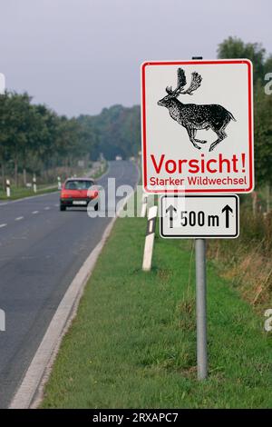 Cartello segnaletico di avvistamento cervi (Dama dama) che attraversano la strada, cartello segnaletico di attraversamento cervi, Germania Foto Stock