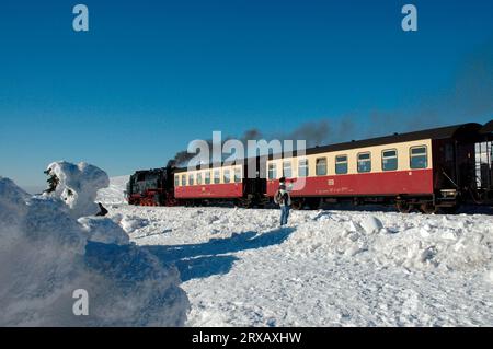 Brocken Railway sul Brocken, Hochharz National Park, Sassonia-Anhalt, Germania, Harz Narrow Gauge Railway, Brocken Railway, Harz Mountains Foto Stock