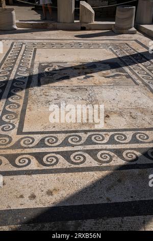 Delos è un'isola greca e sito archeologico nell'arcipelago delle Cicladi del Mar Egeo, vicino a Mykonos. Foto Stock