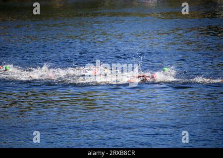 Pontevedra, Spagna. 23 settembre 2023. Pontevedra, Spagna, 23 settembre 2023: Diversi triatleti nel nuoto durante i Campionati del mondo di triathlon U23 2023, il 23 settembre 2023, a Pontevedra, Spagna. (Foto di Alberto Brevers/Pacific Press) Credit: Pacific Press Media Production Corp./Alamy Live News Foto Stock