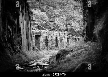 Anglesey Barracks, ex case dei cavatori a Dinorwic Slate Quarry, situata tra i villaggi di Dinorwig e Llanberis, Snowdonia, Galles del Nord. Foto Stock