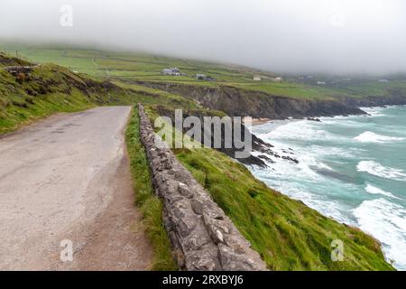 Scogliere, vegetazione e onde a Dunmore Head, Dingle, Kerry, Irlanda Foto Stock