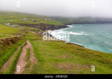 Scogliere, vegetazione e onde a Dunmore Head, Dingle, Kerry, Irlanda Foto Stock