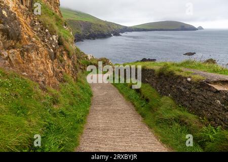 Road to Dunquin Pier con scogliere e vegetazione, Dingle, Kerry, Irlanda Foto Stock