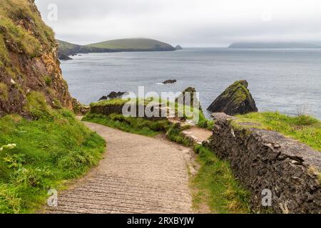 Road to Dunquin Pier con scogliere e vegetazione, Dingle, Kerry, Irlanda Foto Stock