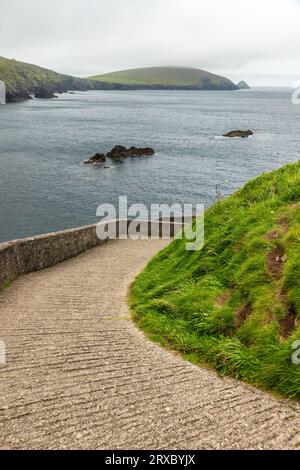 Road to Dunquin Pier con scogliere e vegetazione, Dingle, Kerry, Irlanda Foto Stock