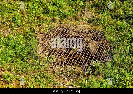 con una griglia per scaricare l'acqua nel parco. impianto di drenaggio sulla strada. ben coperto di griglia Foto Stock