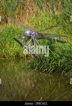 Scultura Dragonfly a Hatton Locks, Warwickshire. Foto Stock
