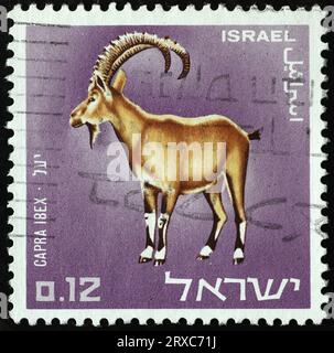Stambecchi nubiani su francobollo israeliano Foto Stock