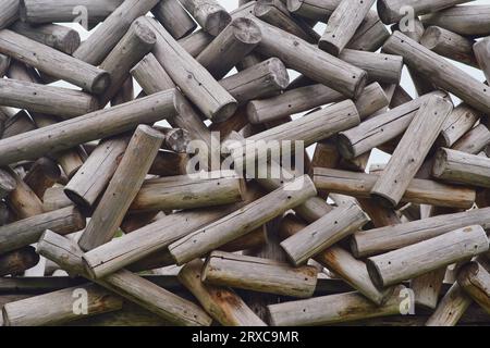 Un gruppo di tronchi rotondi, con la loro corteccia ruvida, formano una scena visivamente accattivante. Foto Stock