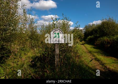 Sentiero che conduce attraverso l'area del Foxbury National Trust nel New Forest Hampshire con un cartello con il logo del National Trust. Foto Stock