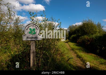 Sentiero che conduce attraverso l'area del Foxbury National Trust nel New Forest Hampshire con un cartello con il logo del National Trust. Foto Stock