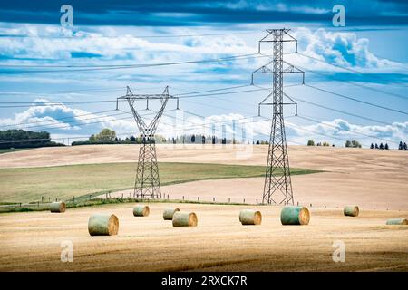 Torri di trasmissione e linee elettriche che si affacciano su un campo agricolo durante il raccolto autunnale con balle di fieno rotonde sulle praterie canadesi nella contea di Rocky View, Alabama Foto Stock