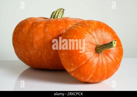 Zucche su un tavolo bianco contro una parete leggera per il tema Halloween. Natura morta di verdure, due zucche d'arancia intere. Concetto di cibo biologico, grazie Foto Stock