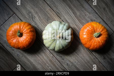 Zucche su tavole di legno sullo sfondo per il tema Halloween. Vista dall'alto delle zucche arancioni e bianche, verdure su pavimento in legno vintage. Hallowen, grazie Foto Stock
