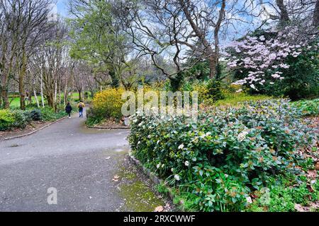 Parco con fiori primaverili, St. Stephen's Green, Dublino Foto Stock