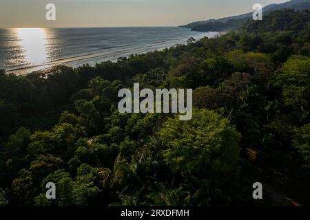 La splendida vista aerea della spiaggia di Uvita nella foresta pluviale del Costa Rica incontra l'oceano Foto Stock