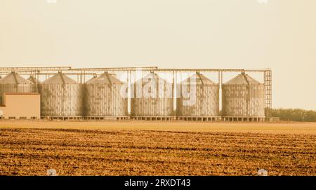 Silos e ascensore granaio. Moderno impianto di produzione agro-processing con complesso di essiccazione del grano. processando, asciugando, pulendo, e immagazzinando Foto Stock