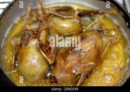 Friggere e arrostire i piccioni farciti con riso bianco o mahshi Hamam, bolliti fino alla cottura, quindi arrostiti, fritti in olio caldo o grigliati, piccioni ripieni Foto Stock