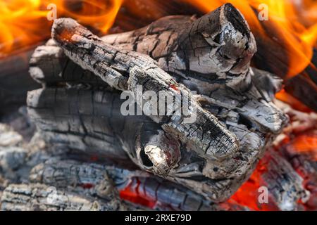 Fuoco di legna da ardere e carbone di un incendio da vicino Foto Stock