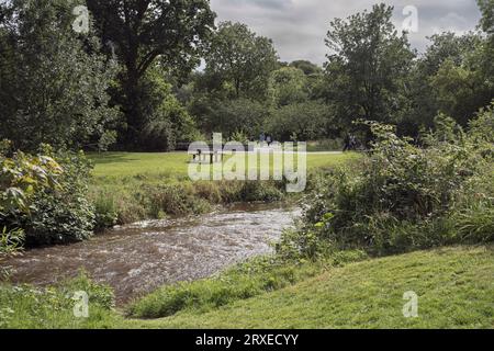 il fiume Martin attraversa i caratteristici giardini del castello di Blarney vicino a Cork, Irlanda, con prato in primo piano e un cielo nuvoloso sullo sfondo Foto Stock