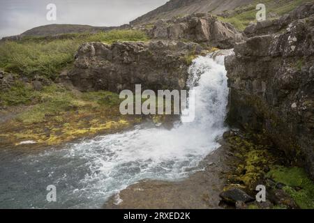 La cascata Gongumannafoss in Islanda scende drammaticamente su una scogliera verticale circondata da vegetazione tundra con un cielo nuvoloso sullo sfondo Foto Stock
