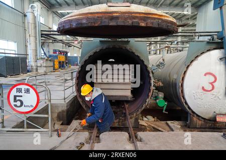 Luannan, Cina - 13 febbraio 2023: I lavoratori controllano le attrezzature di trazione per il trasporto di nuovi materiali da costruzione - pannelli silicati di calcio - da autoclavi Foto Stock