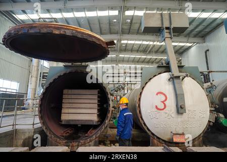 Luannan, Cina - 13 febbraio 2023: I lavoratori controllano le attrezzature di trazione per il trasporto di nuovi materiali da costruzione - pannelli silicati di calcio - da autoclavi Foto Stock