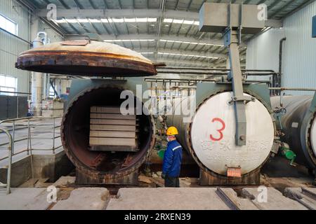 Luannan, Cina - 13 febbraio 2023: I lavoratori controllano le attrezzature di trazione per il trasporto di nuovi materiali da costruzione - pannelli silicati di calcio - da autoclavi Foto Stock