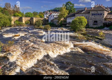 Rafting sulle rapide del fiume Dee a Town Falls a llangollen, Galles del Nord. Le rapide di Town Falls sul fiume Dee a Llangollen i. Foto Stock