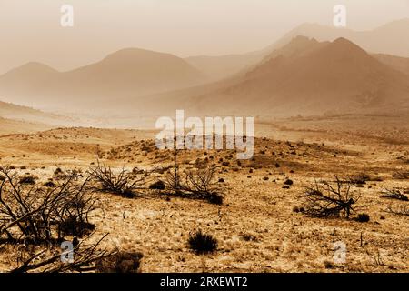 Vista panoramica dalla California State Route 89. Foto Stock