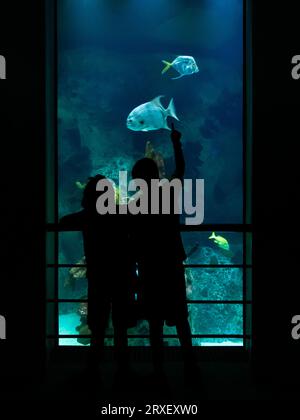 Silhouette di due ragazzi che puntano ai pesci in un acquario al coperto. Foto Stock