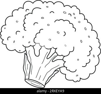 broccoli, cavolfiore, colorazione disegnata a mano o colpo Illustrazione Vettoriale