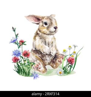 Un coniglio seduto in un prato con fiori selvatici di trifoglio, camomilla. Illustrazione acquerello isolata su sfondo bianco. Biglietti d'auguri, inviti. Foto Stock