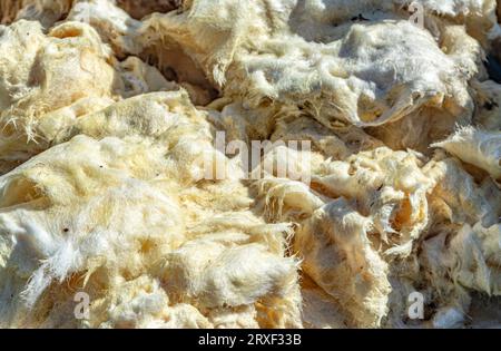 La consistenza della lana minerale per isolare le pareti Foto Stock