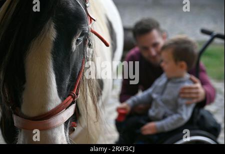 Bohuslavice, Repubblica Ceca. 25 settembre 2023. L'ultima fase di uno studio che indaga l'effetto dell'ippoterapia sui bambini con atrofia muscolare spinale si svolge presso la Bohuslavice Farm, 25 settembre 2023 Bohuslavice, distretto di Jihlava, regione di Vysocina. Crediti: Lubos Pavlicek/CTK Photo/Alamy Live News Foto Stock