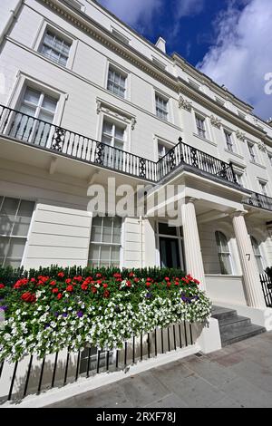 Grovenor Crescent Listed stucco Terrace, Belgravia, centro di Londra, Regno Unito Foto Stock