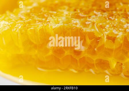 Primo piano del miele. Miele dolce ambrato a nido d'ape. Il miele trasparente scorre lungo il favo. Fetta a nido d'ape. Foto Stock